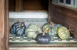 Heirloom Pumpkins | Set of 5