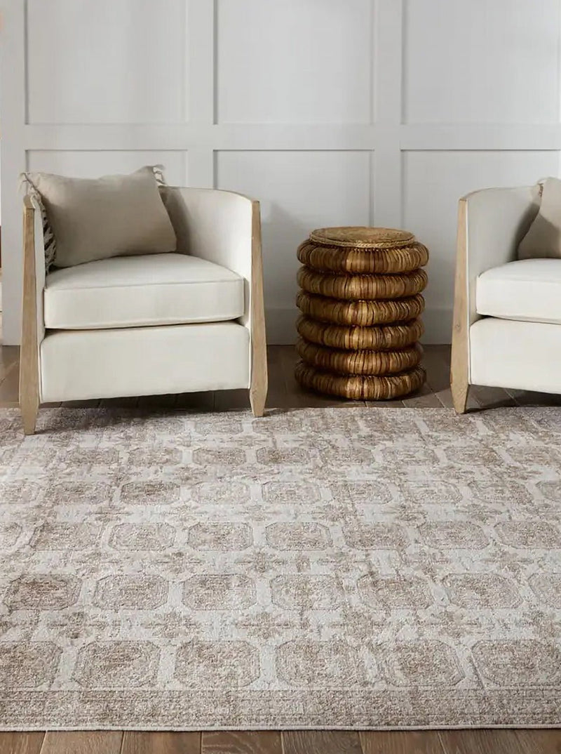 Alanya Rug - HJRUG0248 - 2x3