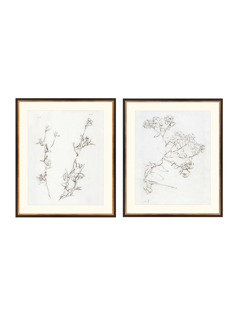 Botanical Study Duo Art Bundle - 