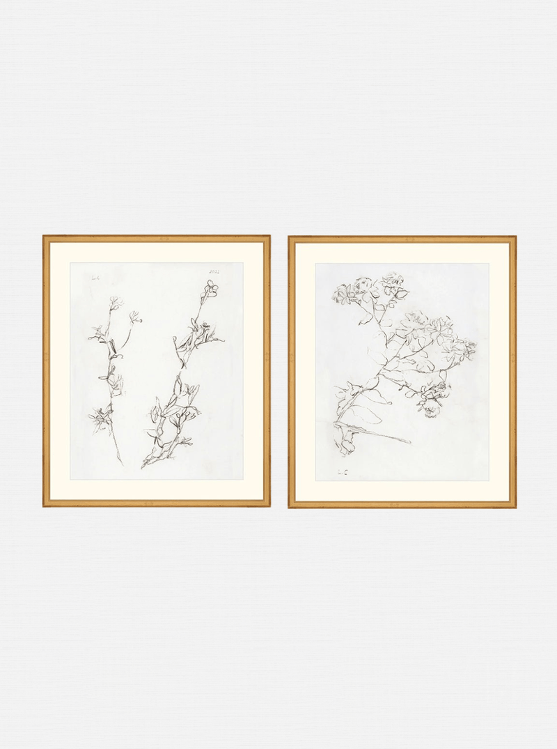 Botanical Study Duo Art Bundle - 