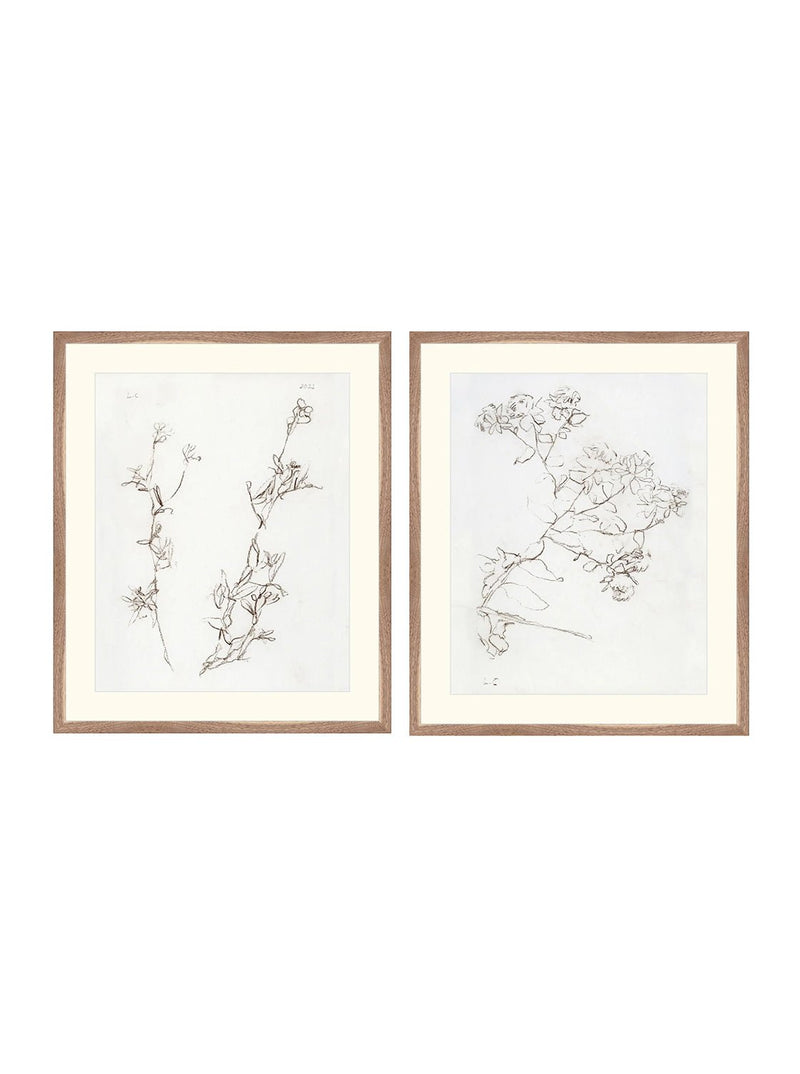 Botanical Study Duo Art Bundle - 