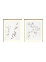 Botanical Study Duo Art Bundle - 