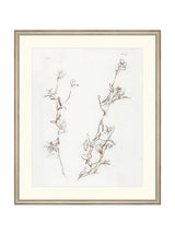 Botanical Study I - HJART0219 - SIL - 21X25