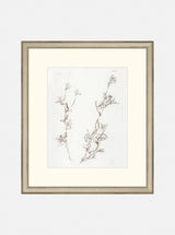 Botanical Study I - HJART0219 - OAK - 13X15