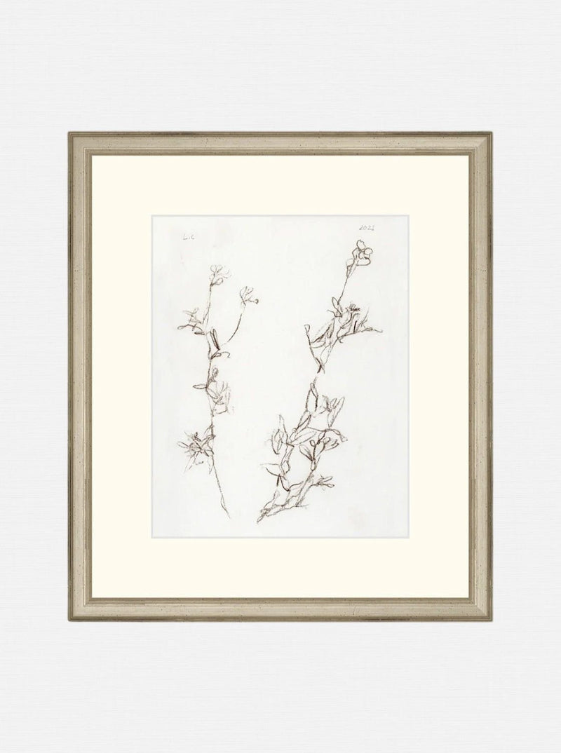 Botanical Study I - HJART0219 - OAK - 13X15