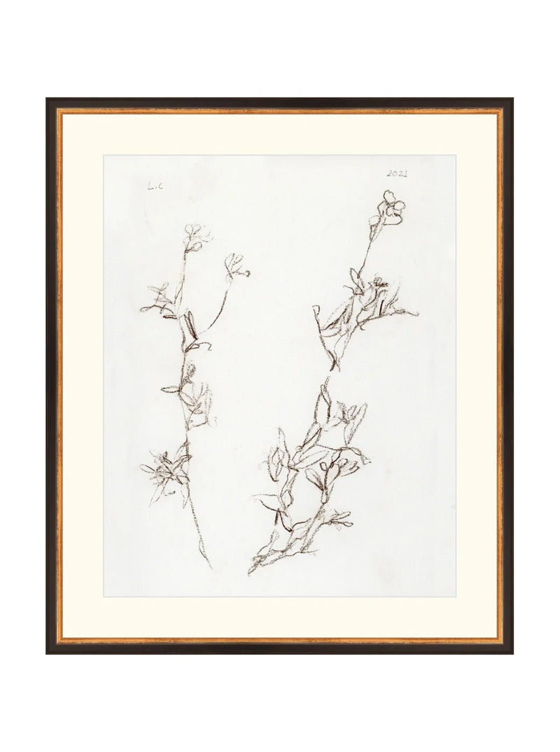 Botanical Study I - HJART0219 - BGD - 21X25