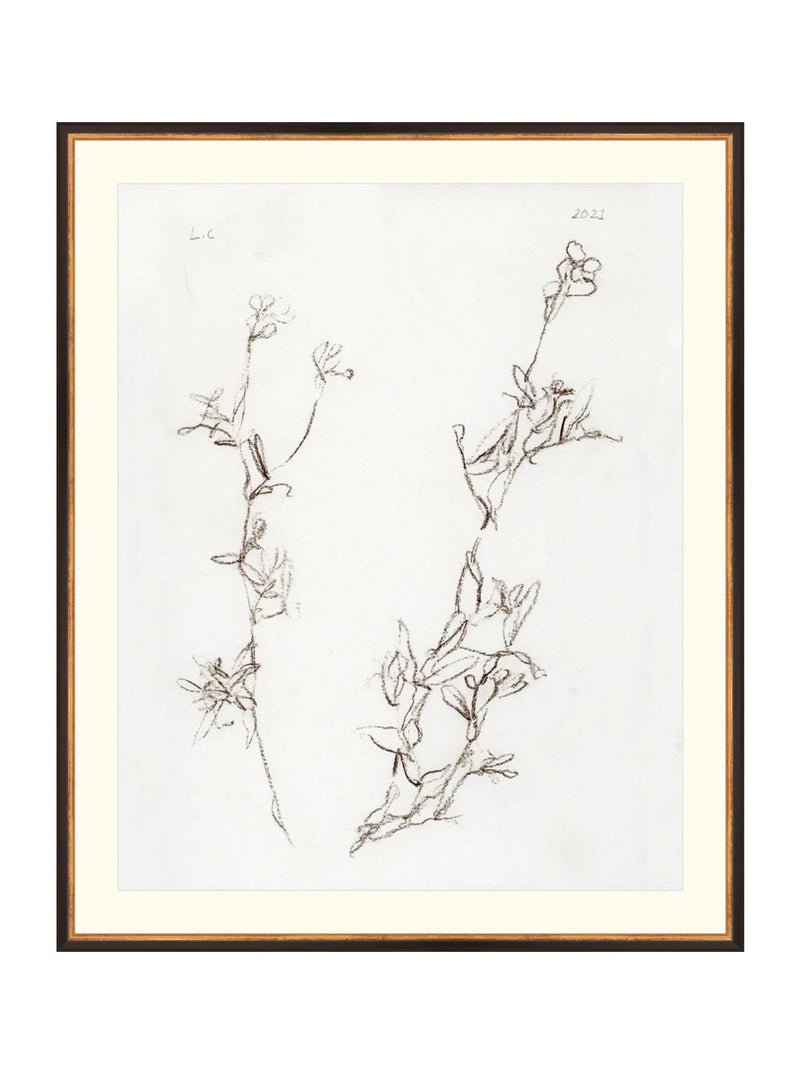 Botanical Study I - HJART0219 - BGD - 29X35