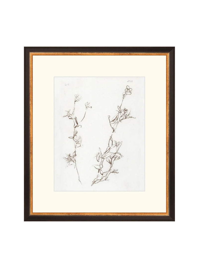 Botanical Study I - HJART0219 - BGD - 13X15