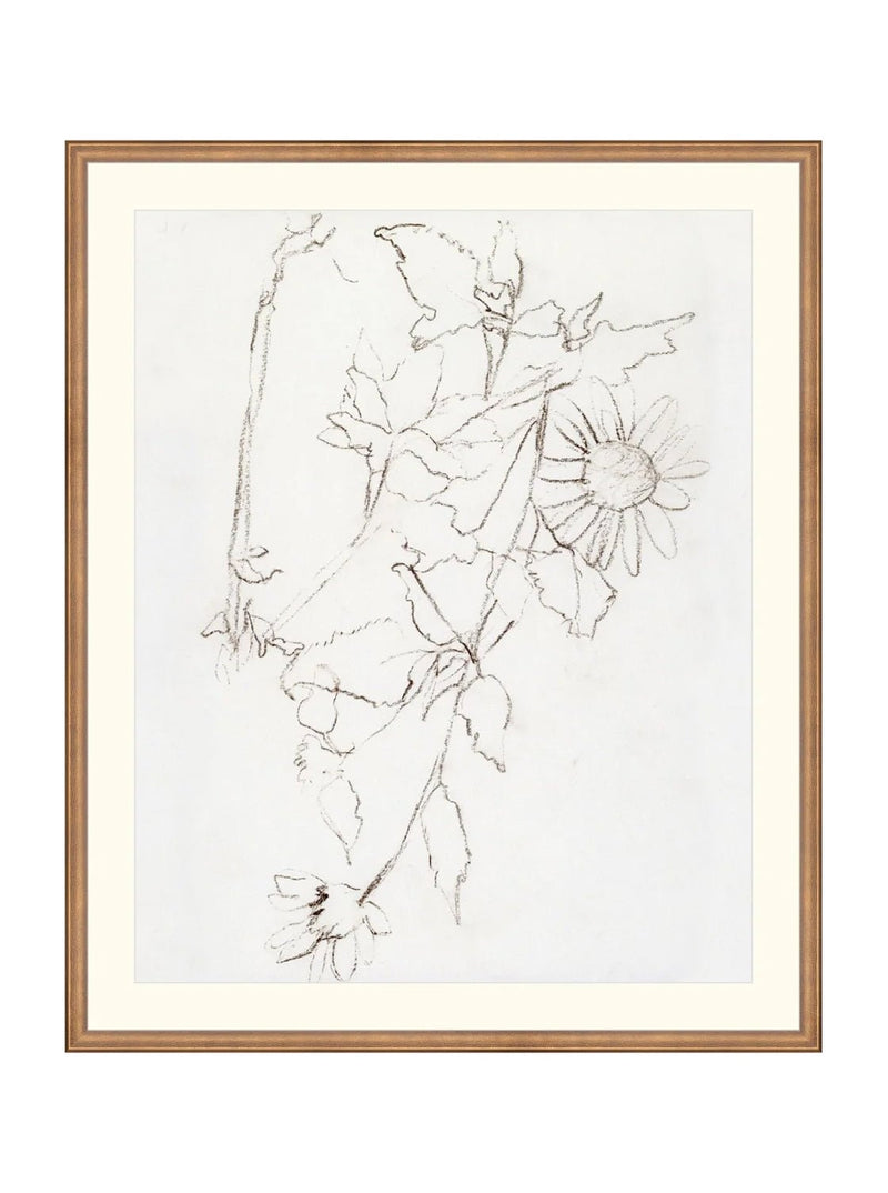 Botanical Study III - HJART0221 - BNZ - 29X35