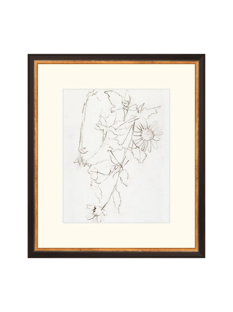 Botanical Study III - HJART0221 - BGD - 13X15