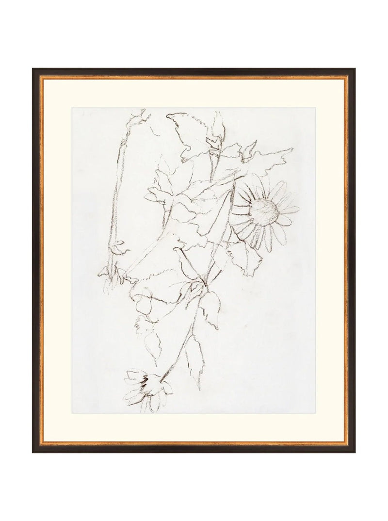 Botanical Study III - HJART0221 - BGD - 21X25