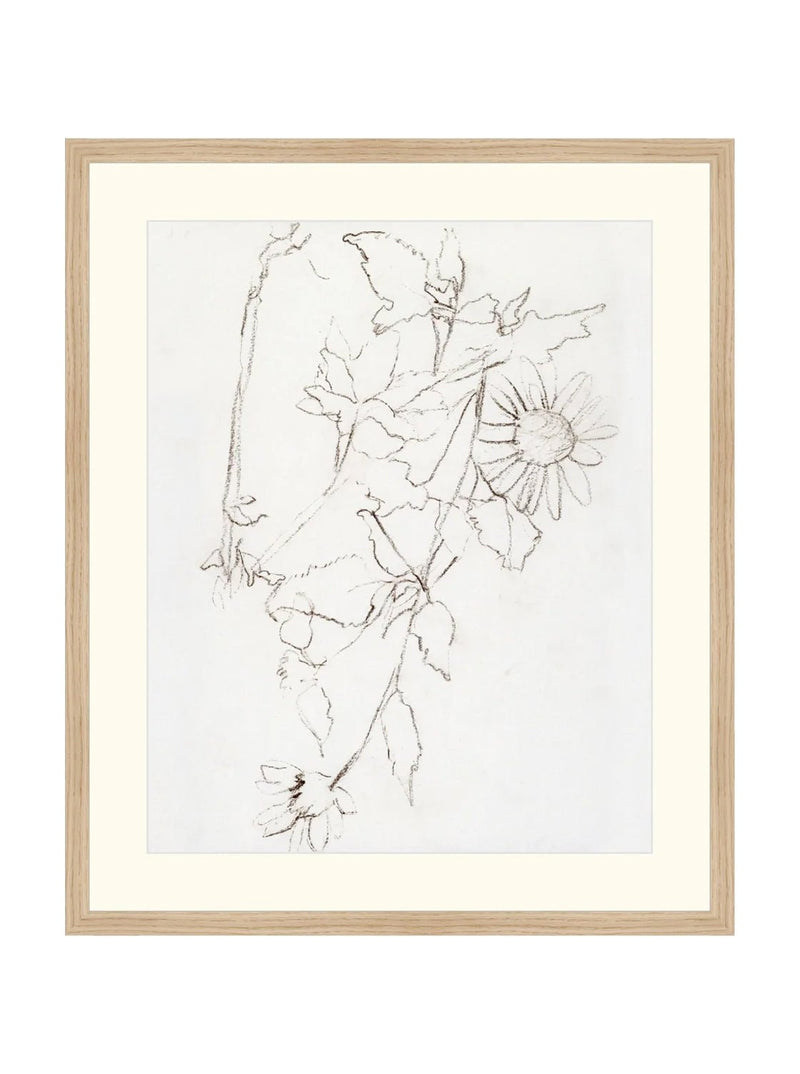 Botanical Study III - HJART0221 - OAK - 21X25