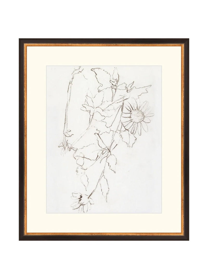 Botanical Study III - HJART0221 - BGD - 16X19