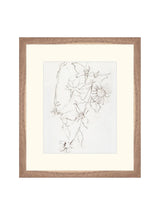 Botanical Study III - HJART0221 - WNT - 13X15