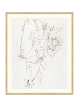 Botanical Study III - HJART0221 - OAK - 29X35