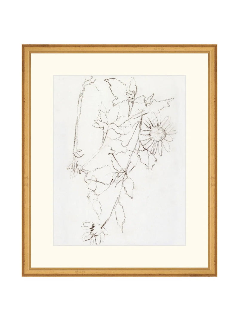 Botanical Study III - HJART0221 - GLD - 16X19