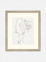 Botanical Study III - HJART0221 - OAK - 13X15