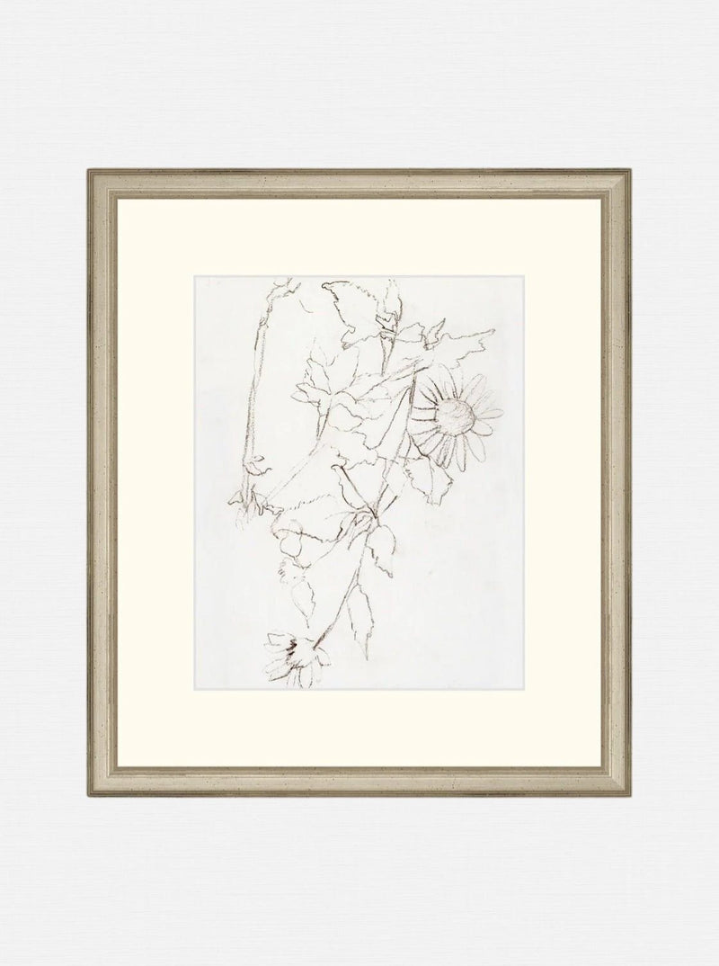 Botanical Study III - HJART0221 - OAK - 13X15