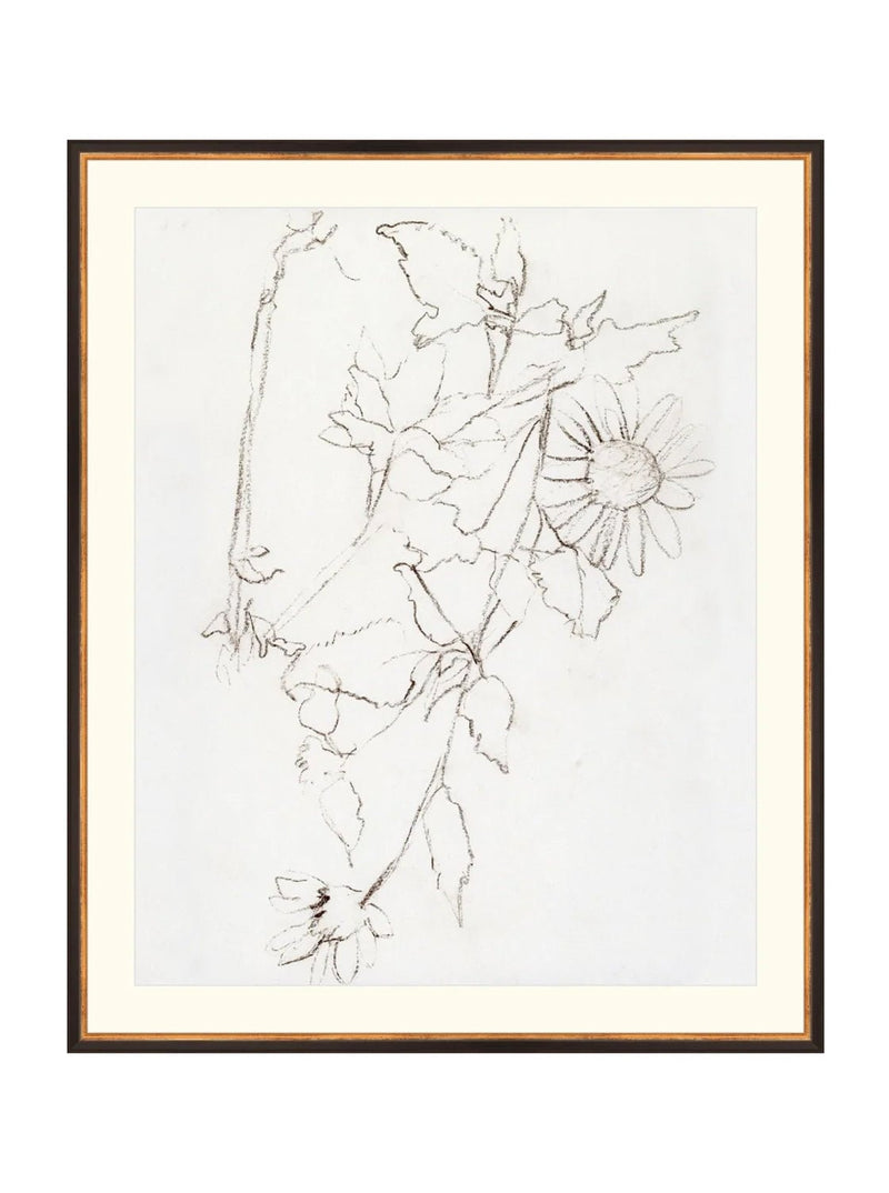 Botanical Study III - HJART0221 - BGD - 29X35