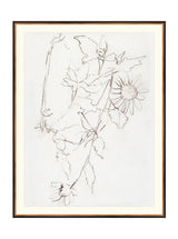 Botanical Study III - HJART0221 - BGD - 35X45