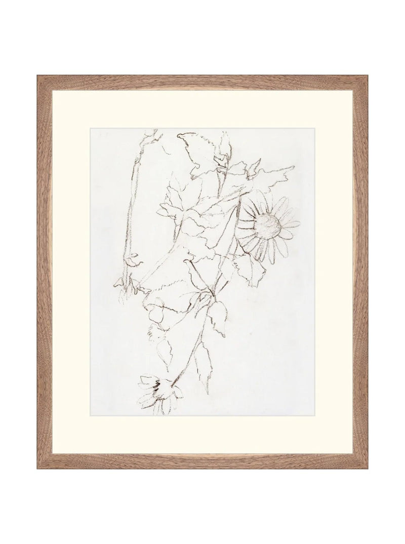 Botanical Study III - HJART0221 - WNT - 16X19