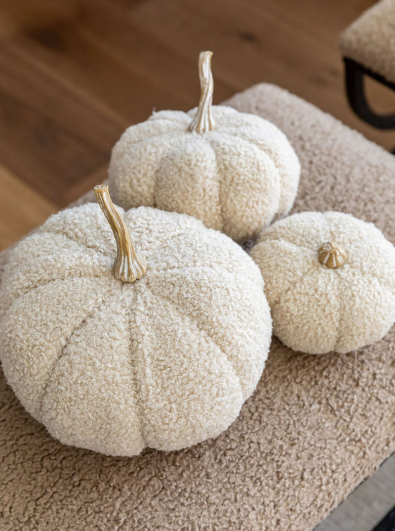 Boucle Pumpkins - HJDCR0391 - S