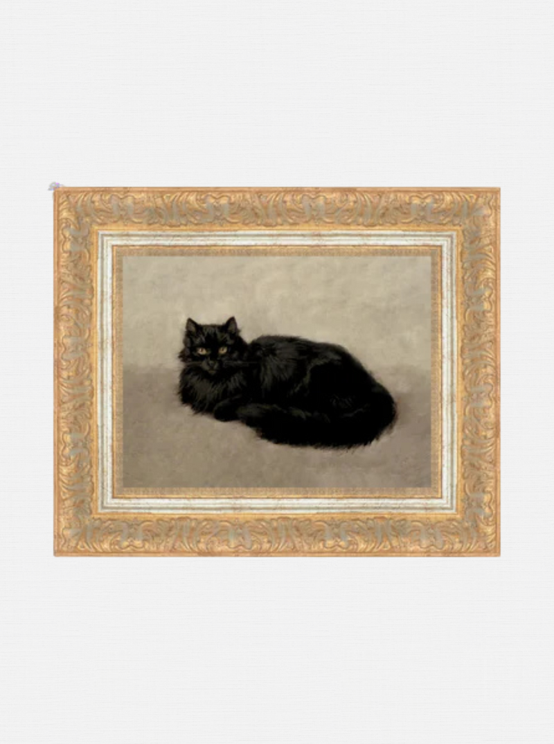 Black Cat
