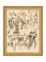 Cattle Study - HJART0080 - WNT - 8x10