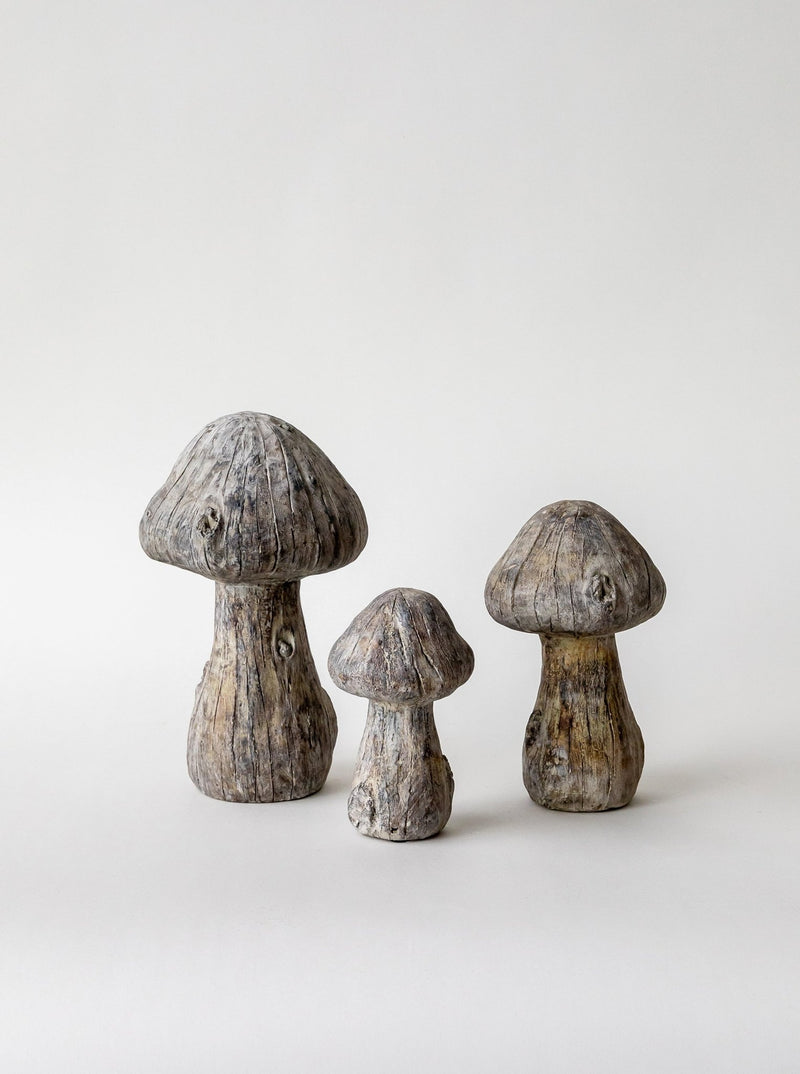 Concrete Mushrooms - HJDCR0394 - S