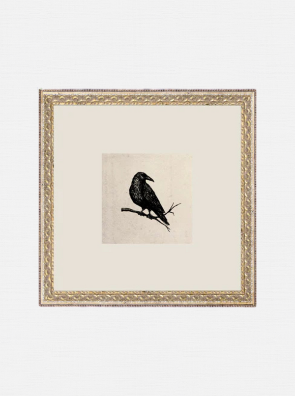 Crow Study