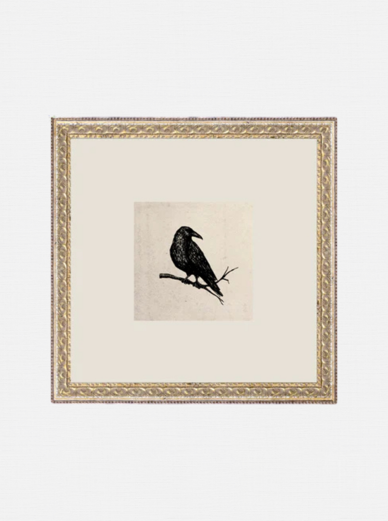 Crow Study