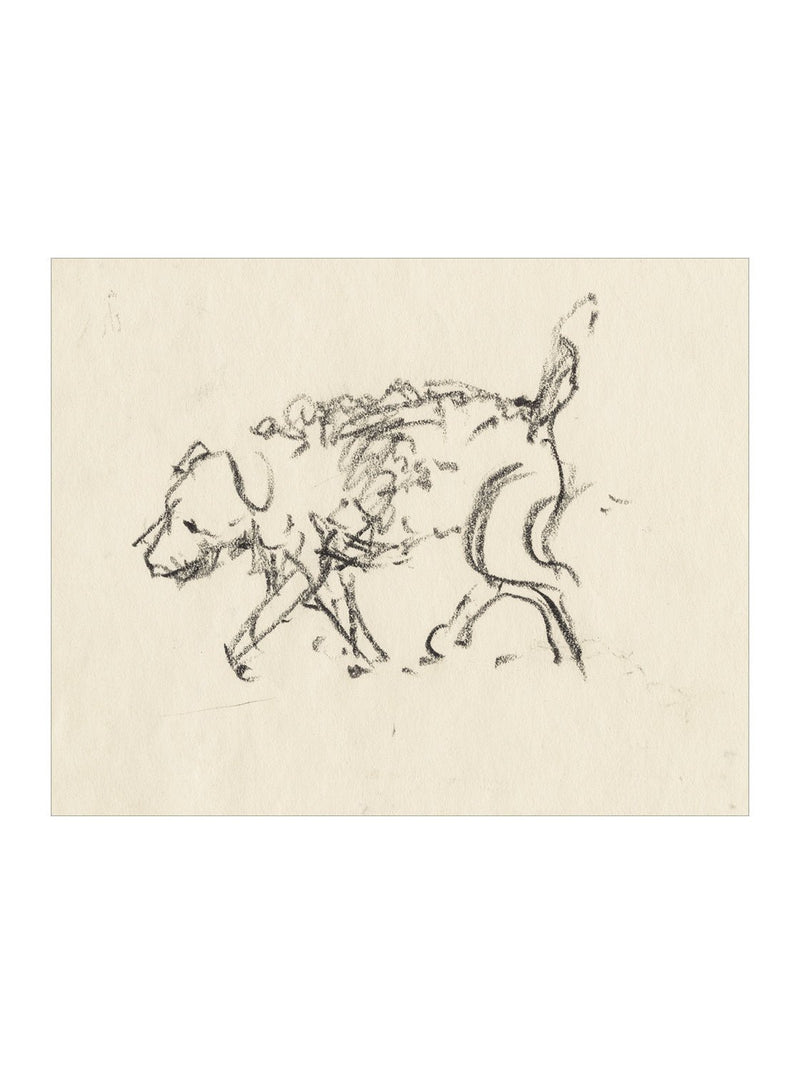 Dog Sketch - HJART0090 - UN - 8x10