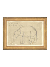Elephant Sketch - HJART0091 - GLD - 8x11
