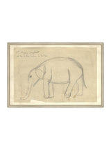 Elephant Sketch - HJART0091 - SIL - 20x30