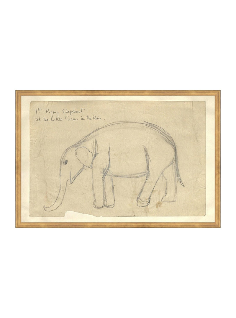 Elephant Sketch - HJART0091 - GLD - 20x30