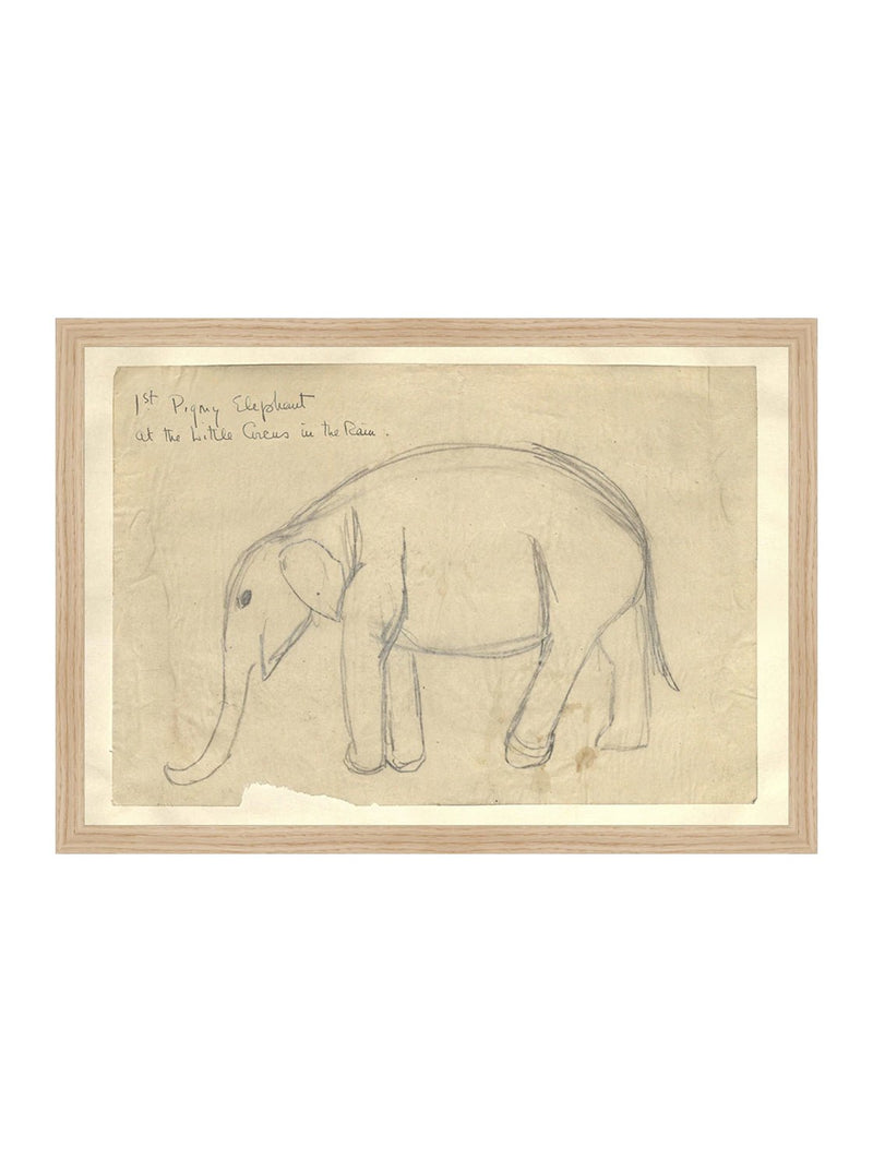 Elephant Sketch - HJART0091 - OAK - 11x16