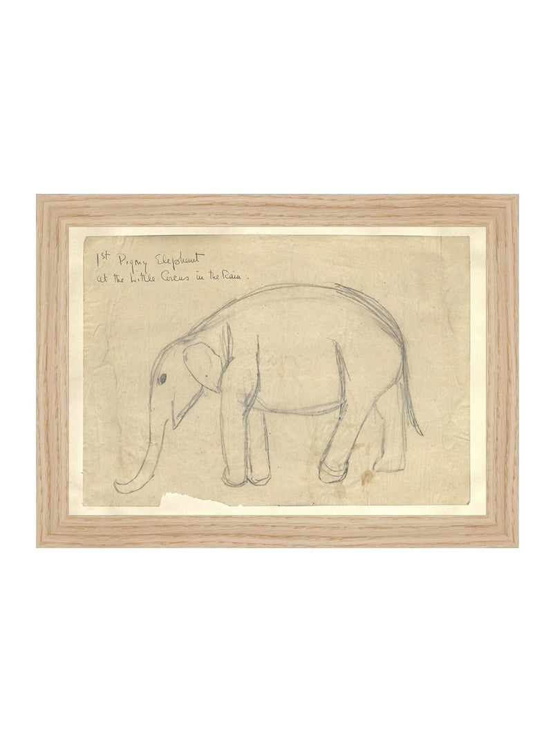 Elephant Sketch - HJART0091 - OAK - 8x11