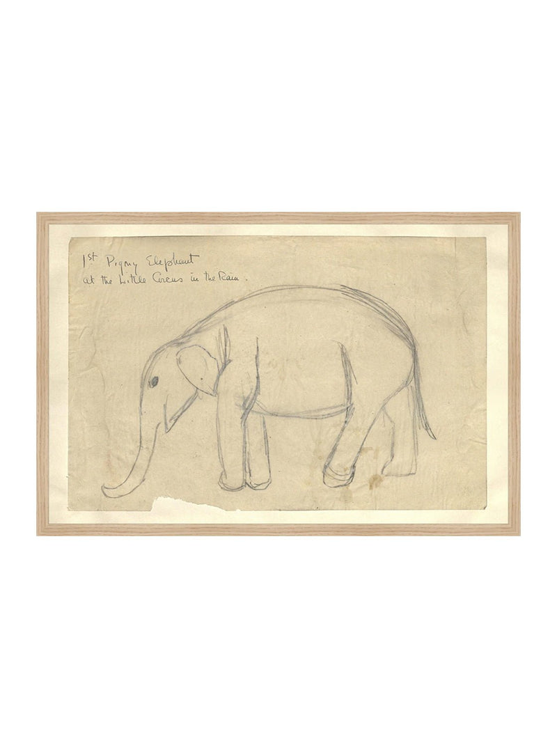 Elephant Sketch - HJART0091 - OAK - 20x30