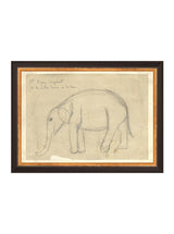 Elephant Sketch - HJART0091 - BLK - 8x11