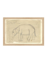 Elephant Sketch - HJART0091 - OAK - 11x16