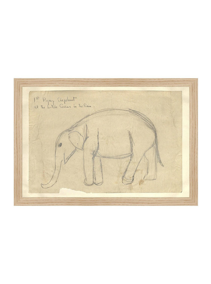 Elephant Sketch - HJART0091 - OAK - 11x16