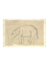 Elephant Sketch - HJART0091 - OAK - 14x20