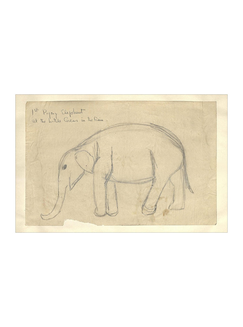 Elephant Sketch - HJART0091 - OAK - 14x20