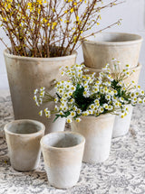 Faux Chamomile Bunch - HJGRN0098 - 1