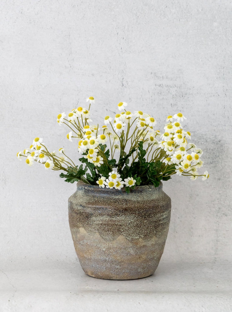 Faux Chamomile Bunch - HJGRN0098 - 1