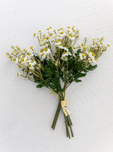 Faux Chamomile Bunch - HJGRN0098 - BUN
