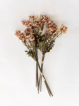 Faux Dried Daisy Bunch - HJGRN00127 - PNK - BUN