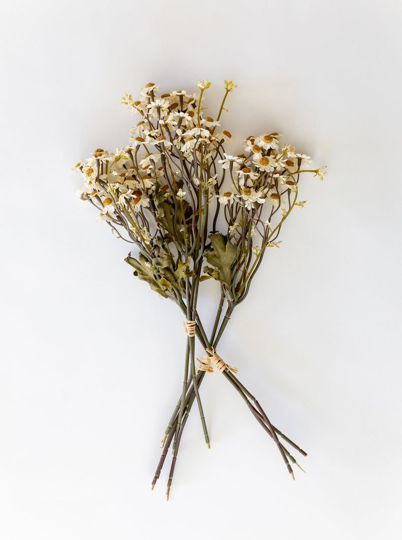 Faux Dried Daisy Bunch - HJGRN00110 - BUN