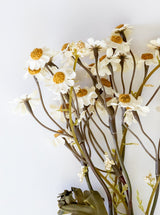 Faux Dried Daisy Bunch - HJGRN00110 - BUN