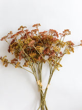 Faux Meadow Sedge Bunch - HJGRN00101 - BUN